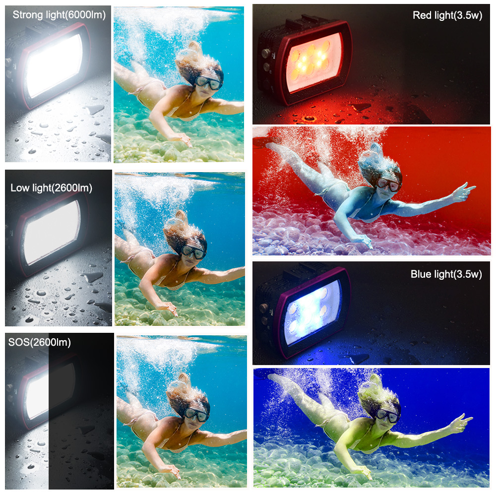 Seafrogs-Luz LED de aluminio p - Photography Lighting Brands reseña y precio